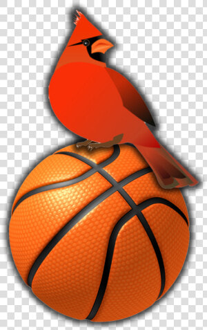 Ballon De Basket Ball Png  Transparent Png