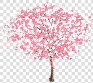 Cherry Blossom Tree Png Resume Vector Painted Pink   Cherry Blossom Tree Vector Png  Transparent Png