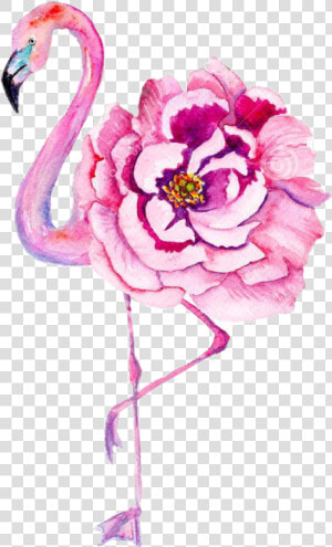  png flamenco  rosado flor tumblr   Watercolor Flamingo  amp  Flowers  Transparent Png