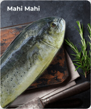 Mahi Mahi   Sauries  HD Png Download