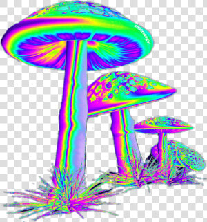  trippy  shroom   Trippy Shroom  HD Png Download