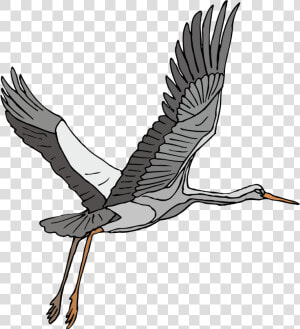 Stork Vector Heron   Crane Bird Clip Art Flying  HD Png Download