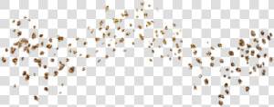 Transparent Gold Glitter Confetti Png   Freckles Png  Png Download