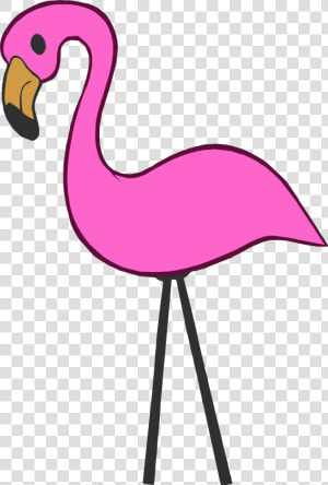 Pink Flamingo Png   Hot Pink Flamingo Clipart  Transparent Png