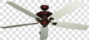 Oil Rubbed Bronze Ceiling Fan With White Blades  HD Png Download