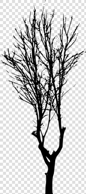 Tree silhouette   Forest Trees Silhouette Png  Transparent Png