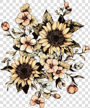 Transparent Vintage Sunflower Clipart   Sunflower Drawing Black And White  HD Png Download