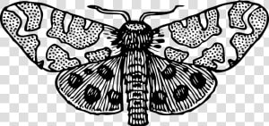 Moth Wings Open Clip Arts   Moth Clipart Black And White  HD Png Download