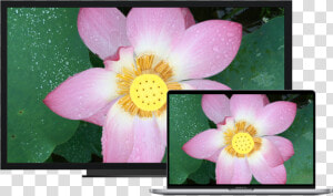 A Macbook Pro Next To An Hdtv Used As An External Display   Out Of Gamut Vectorscopio  HD Png Download