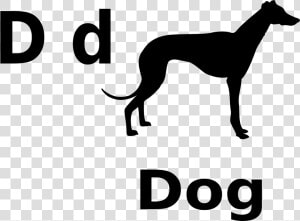 D For Dog Clip Arts   Greyhound Png  Transparent Png