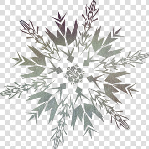   copos De Nieve Snowflakes   Transparent Transparent Background Snow Flake  HD Png Download