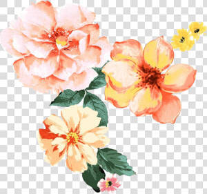  freetoedit  ftestickers  flowers  watercolor  freetoedit   Flower Peach Watercolor Png  Transparent Png