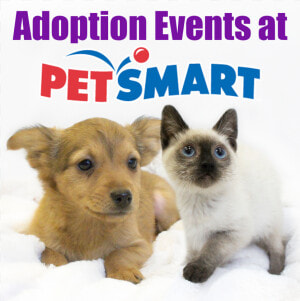 Petsmart Png  Transparent Png