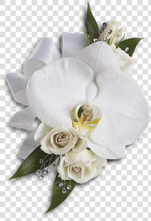 White Wedding Flowers Png   Phalaenopsis Orchid Wrist Corsage  Transparent Png