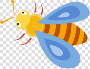 Transparent Cute Bee Png   Honeybee  Png Download