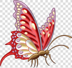 Clipart Insect Drawing Butterfly Png   Butterfly Designs For Assignment  Transparent Png