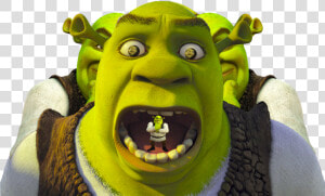 Shrek Png   Png Download   Shrek Png  Transparent Png