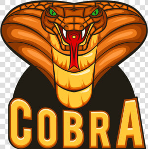 Cobra Logo Zonder Slogan Rgb Small   Snake Head Cartoon  HD Png Download