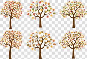 Fall Tree Autumn Trees Clipart Set Cute Red Yellow   Fall Trees Clipart  HD Png Download