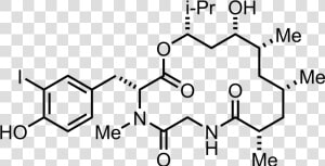 Levothyroxine Sodium Salt Pentahydrate  HD Png Download