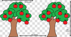 Uk Diseases Of Fruit   Apples On A Tree Clipart  HD Png Download