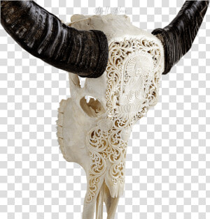 Carved Buffalo Skull   Horn  HD Png Download