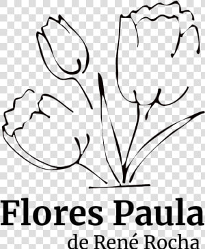 Flores Paula   Tulip  HD Png Download