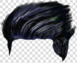 Hair Png  Hair Png Cb  Picsart Hair Png  Cb Hair Png    Flightless Bird  Transparent Png