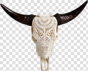 Bull Skull Png   Cow Skull Transparent Background  Png Download