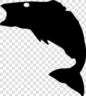 Amazin Tumbler Image Gallery   Bass Fish Silhouette Svg  HD Png Download