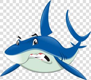 Tube Png Requin  Dessin   Dato Interesante Del Tiburón  Transparent Png