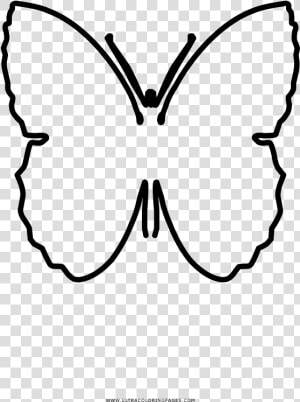 Brush footed Butterflies Butterfly Drawing Coloring   Pieridae  HD Png Download