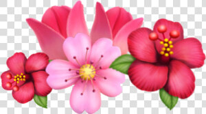  flower  emoji  sakura  tulip  crown  flowercrown  crownflower  HD Png Download