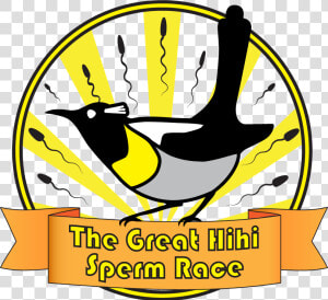 Betting On Bird Sperm In A Race To Help Hihi   Clip Art  HD Png Download