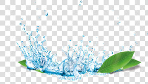 Splash Water Flower Transparent Material   Splash Water Png Hd  Png Download