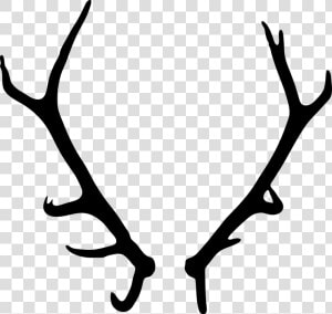 Antler Clipart Wildlife   Transparent Background Antlers Png  Png Download