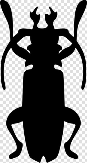 Beatle Nature Cockroach Roach  HD Png Download