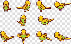 Budgie Cartoon Vectors   Budgie Cartoon  HD Png Download