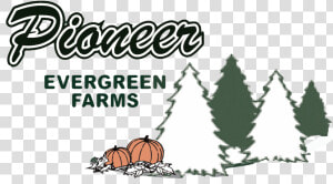 Pioneer Evergreen Farms Logo  HD Png Download