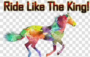 Ride Like The King Png Free Background   Illustration Horses Free  Transparent Png