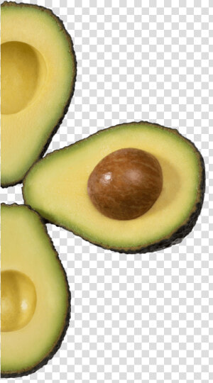 Transparent Avacado Clipart   Avocado  HD Png Download