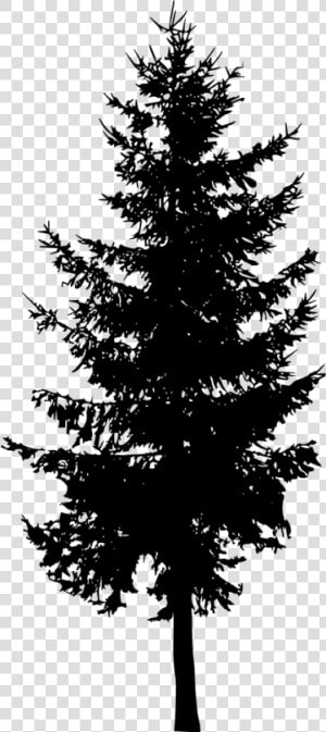 Fir tree Png Image With Transparent Background   Silhouette Pine Tree Png  Png Download