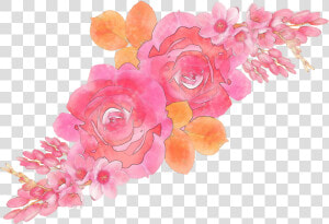 Transparent Watercolor Roses Png   Garden Roses  Png Download