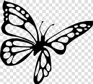 Brush footed Butterfly  HD Png Download