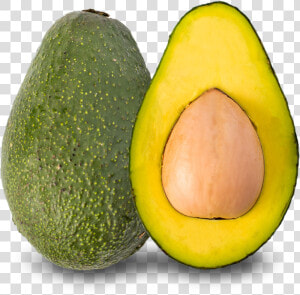 Fuerte Avocado Png  Transparent Png