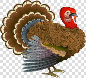 Turkey Png Clipart   Turkeys For Thanksgiving  Transparent Png