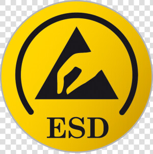 Esd Training   Esd Cursus   Esd Seminarie   Esd Banner  HD Png Download