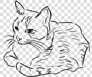 Cat Black And White White Cat Clipart Collection   Cat Sitting Clipart Black And White  HD Png Download