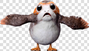 Porgs Were A Type Of Bird   Porg Star Wars Transparent  HD Png Download