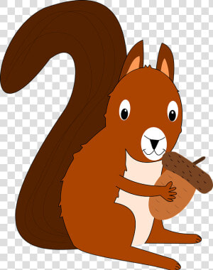 Clip Art Squirrel Image Portable Network Graphics Vector   การ์ตูน กระรอก Png  Transparent Png